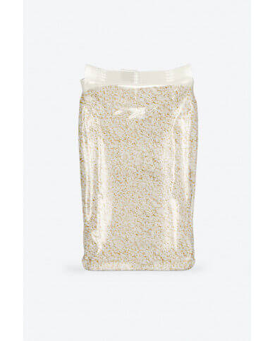 envasadora vertical plaspak