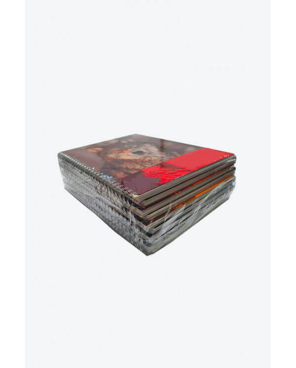 selladora frontal plaspak