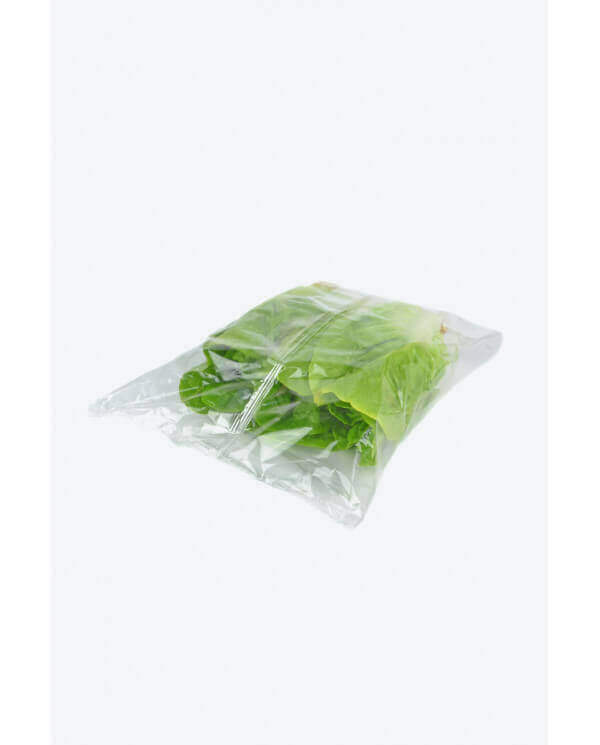 resultado envasadora horizontal plaspak