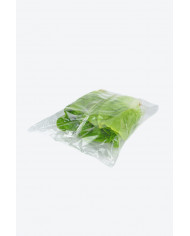 resultado envasadora horizontal plaspak