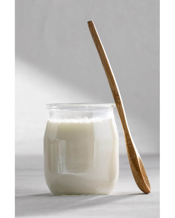 pasteurizador para leche