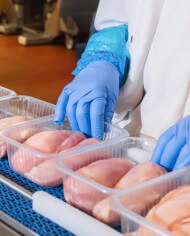 Detector de metales con transportador