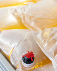 Llenadora Bag in Box