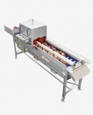 elaboracion de jugos naturales