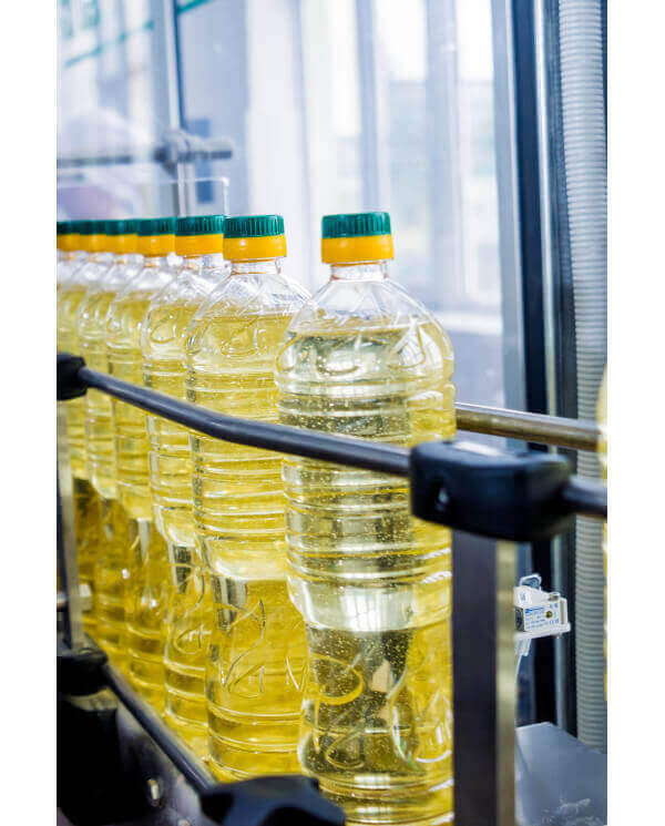 máquina para envasar