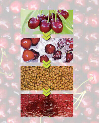 Máquinas Despulpadoras