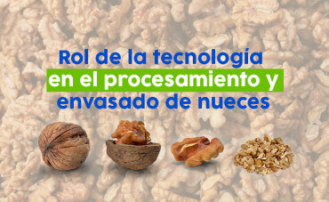 Rol de la tecnología en el procesamiento y envasado de nueces 